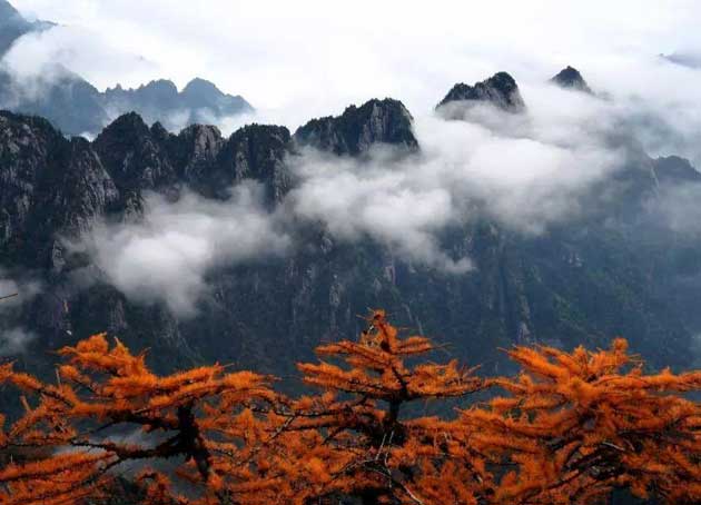 西安市·长安区·翠华山公园团建基地